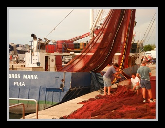 [Click to enlarge image]